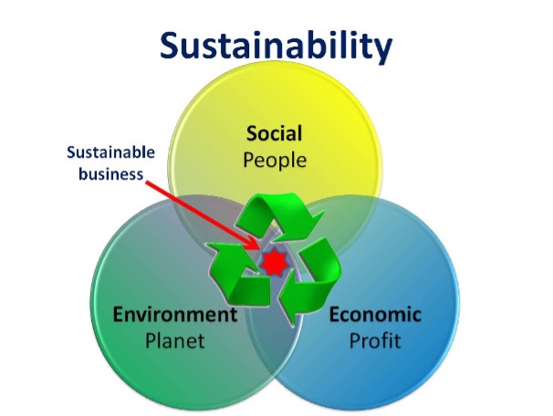 Learning by Training: Sustainability